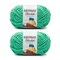 Bernat Blanket Brights GoGo Green Yarn - 2 Pack of 300g/10.5oz - Polyester - 6 Super Bulky - 220 Yards - Knitting/Crochet